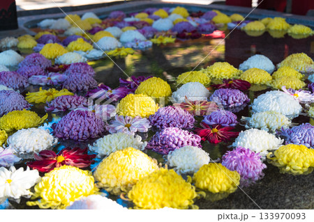 大宰府の美しい紅葉 133970093