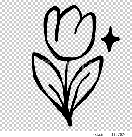 Cute tulip flower simple line art elegant floral illustration minimalist black and white doodle style charming spring theme Cute tulip flower simple line art elegant floral illustration minimalist black and white doodle style charming spring theme 133970269