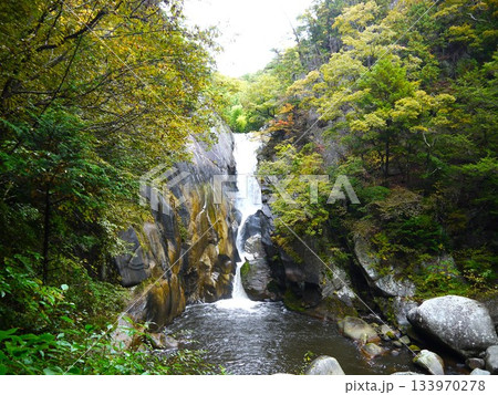 紅葉に囲まれた仙娥滝 紅葉に囲まれた仙娥滝 133970278
