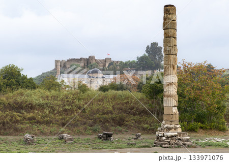 トルコエフェソス遺跡のアルテミス神殿 133971076