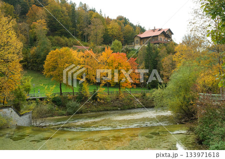 Beautiful autumn park with colorful vibrant trees in seasonal landscape 133971618