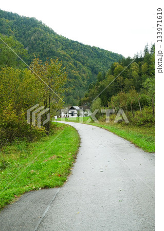 Typical Austrian countryside, road leading to the village. 133971619