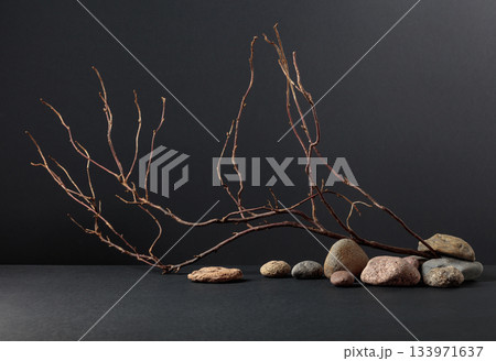 An intricately entwined branches and smooth stones against a black background. An intricately entwined branches and smooth stones against a black background. 133971637