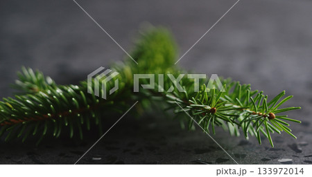 spruce twig on terrazzo countertop spruce twig on terrazzo countertop 133972014