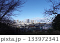 晴れた日に見えるタワーマンション郡 133972341