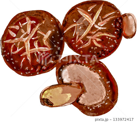どんこ 乾燥シイタケのイラスト 133972417