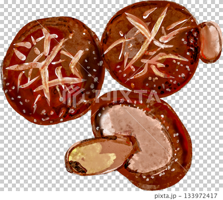 どんこ 乾燥シイタケのイラスト 133972417