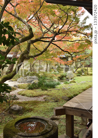 秋の永観堂禅林寺 釈迦堂南庭(京都市左京区) 秋の永観堂禅林寺 釈迦堂南庭(京都市左京区) 133972420