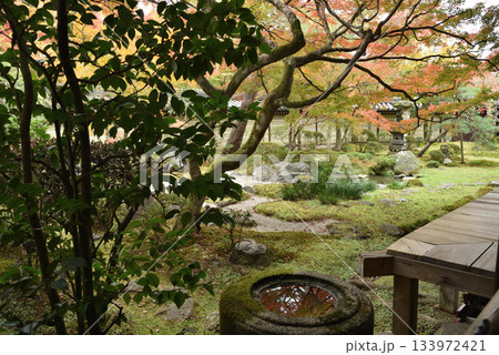 秋の永観堂禅林寺 釈迦堂南庭(京都市左京区) 秋の永観堂禅林寺 釈迦堂南庭(京都市左京区) 133972421