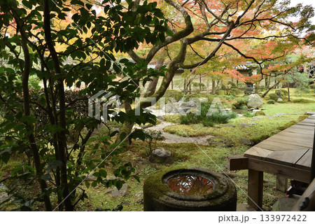 秋の永観堂禅林寺 釈迦堂南庭(京都市左京区) 秋の永観堂禅林寺 釈迦堂南庭(京都市左京区) 133972422