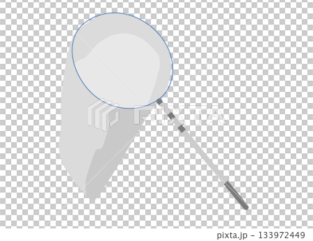 昆蟲網的插圖 133972449