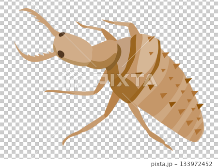 Illustration of a ant lion Illustration of a ant lion 133972452