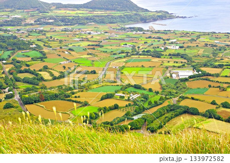 福江島鬼岳から眺める田園風景 福江島鬼岳から眺める田園風景 133972582