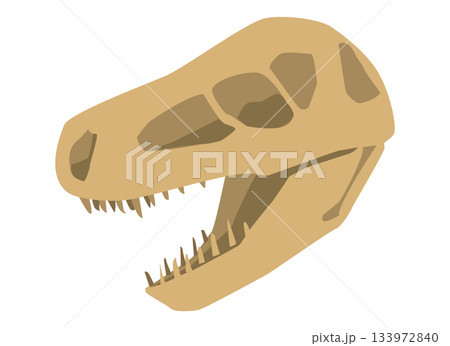 恐竜の化石の頭部のイラスト 恐竜の化石の頭部のイラスト 133972840