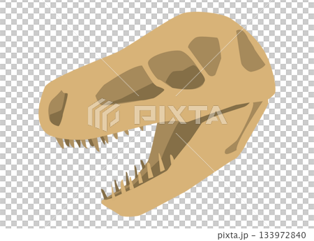 恐竜の化石の頭部のイラスト 恐竜の化石の頭部のイラスト 133972840
