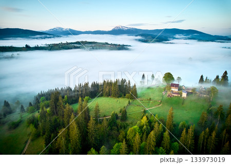 Aerial view of mist drifting over lush, green landscape. Early morning fog gently envelops trees and fields, creating soft, ethereal atmosphere under clear sky. Distant mountains rise majestically. Aerial view of mist drifting over lush, green landscape. Early morning fog gently envelops trees and fields, creating soft, ethereal atmosphere under clear sky. Distant mountains rise majestically. 133973019
