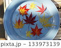 器に浮かぶ紅葉 133973139