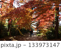 紅葉の中を歩く 133973147