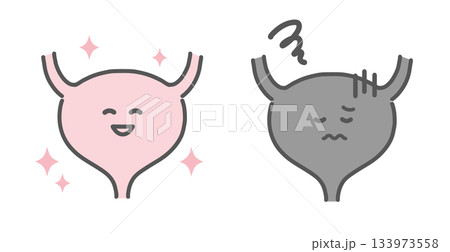 健康な膀胱と不調な膀胱の比較イラスト（キャラクター） 133973558