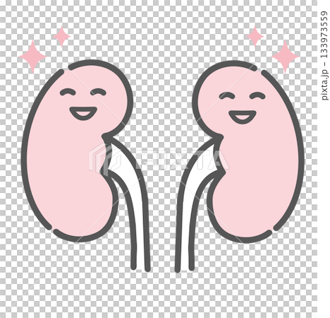 Healthy and energetic kidney character illustration (normal, smiling) Healthy and energetic kidney character illustration (normal, smiling) 133973559