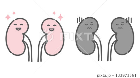 健康な腎臓と不調な腎臓の比較イラスト（キャラクター） 133973561