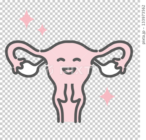 Healthy and healthy uterus character illustration (normal female genitalia) 133973562