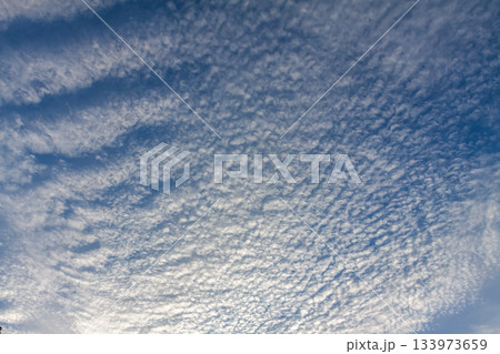 天空に広がるひつじ雲と言われる高積雲の造形 133973659