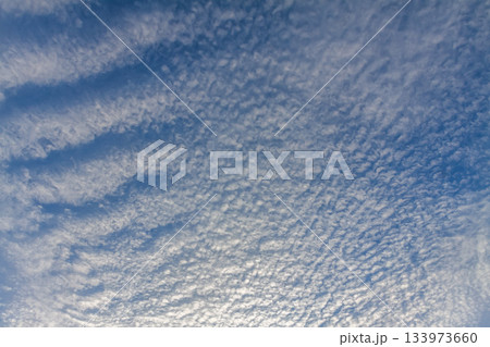 天空に広がるひつじ雲と言われる高積雲の造形 133973660