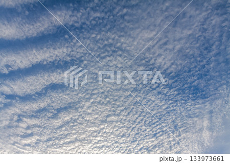 天空に広がるひつじ雲と言われる高積雲の造形 天空に広がるひつじ雲と言われる高積雲の造形 133973661