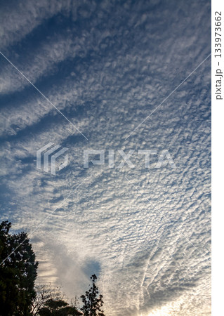 天空に広がるひつじ雲と言われる高積雲の造形 天空に広がるひつじ雲と言われる高積雲の造形 133973662