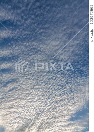 天空に広がるひつじ雲と言われる高積雲の造形 天空に広がるひつじ雲と言われる高積雲の造形 133973663
