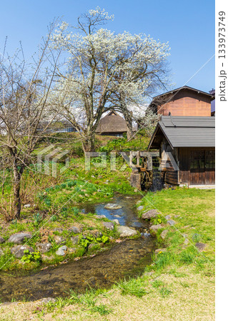 春の長野県白馬村　大出公園　水車小屋 133973749