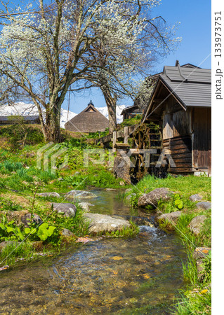 春の長野県白馬村 大出公園 水車小屋 春の長野県白馬村 大出公園 水車小屋 133973751