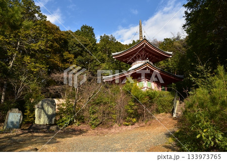 樹木に囲まれた多宝塔　今熊野観音寺 133973765