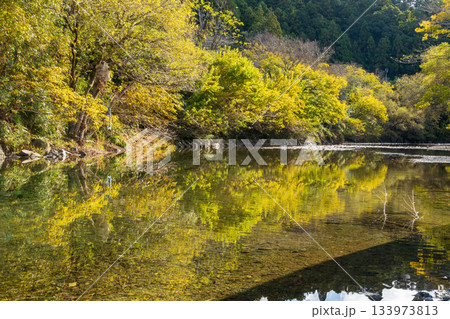 静岡県浜松市　清流「阿多古川」11月秋の風景 133973813