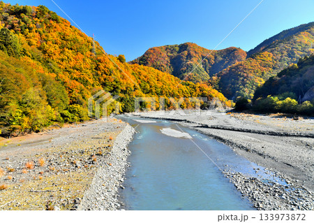 山吹橋／早川より下流方向を望む(山梨県早川町)【2025.11】 133973872
