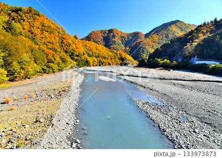山吹橋／早川より下流方向を望む(山梨県早川町)【2025.11】 133973873