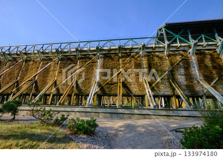 Large wooden graduation tower surrounded by green shrubs Large wooden graduation tower surrounded by green shrubs 133974180