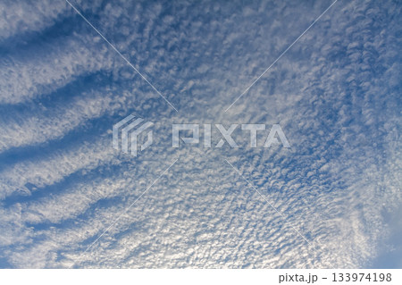 天空に広がるひつじ雲と言われる高積雲の造形 133974198