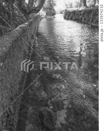 モノクロ、塩井社水源、秋の終わり、水源からの風景 133974210