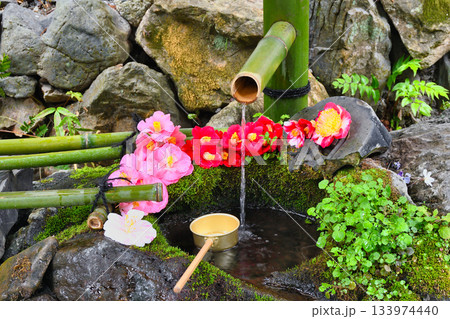 京都　大豊神社　 美しい椿の手水（京都府京都市左京区） 133974440
