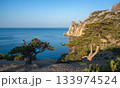 View of cliffs and the sea among juniper trees on the Golitsyn Trail, Novy Svet View of cliffs and the sea among juniper trees on the Golitsyn Trail, Novy Svet 133974524