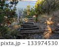 Crumbling wooden staircase leading toward the water through shrubs Crumbling wooden staircase leading toward the water through shrubs 133974530