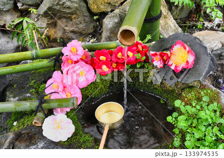 京都 大豊神社 美しい椿の手水(京都府京都市左京区) 京都 大豊神社 美しい椿の手水(京都府京都市左京区) 133974535