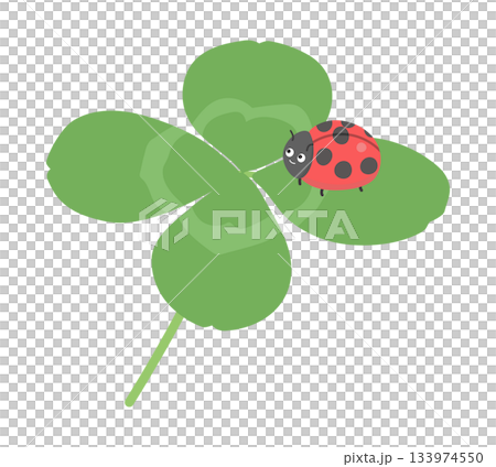 Illustration of four leaf clover and ladybird 133974550