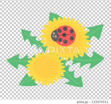 一隻瓢蟲停在蒲公英花上的插圖 133974551