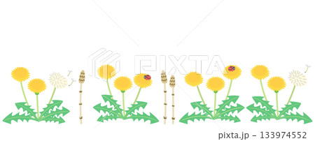 たんぽぽとつくしの背景イラスト 133974552