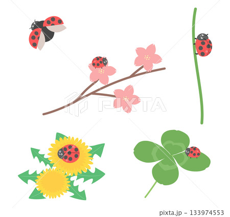 草花とテントウムシのイラストセット 133974553