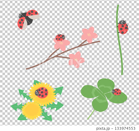 花朵和瓢蟲插圖集 133974553