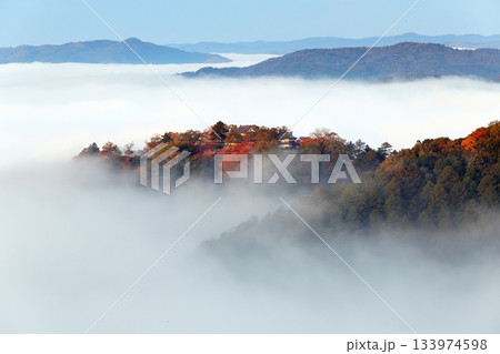 天空の山城6418 133974598